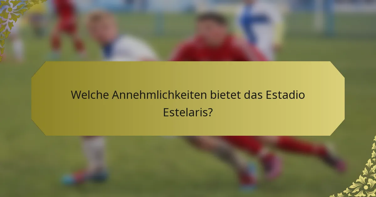 Welche Annehmlichkeiten bietet das Estadio Estelaris?