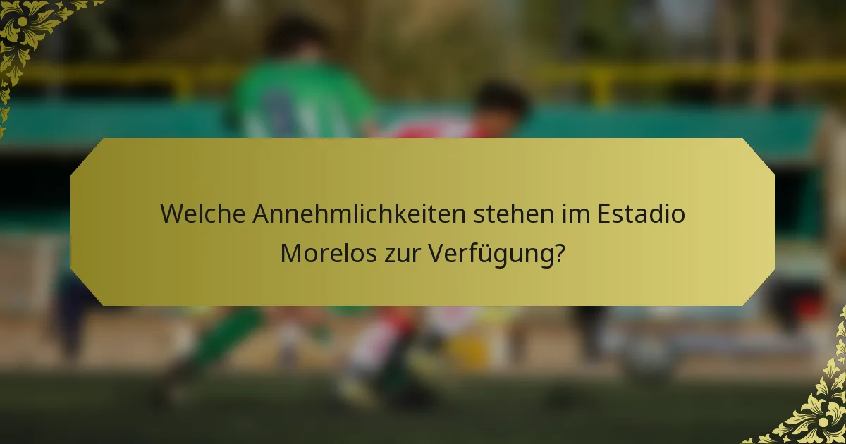 Welche Annehmlichkeiten stehen im Estadio Morelos zur Verfügung?