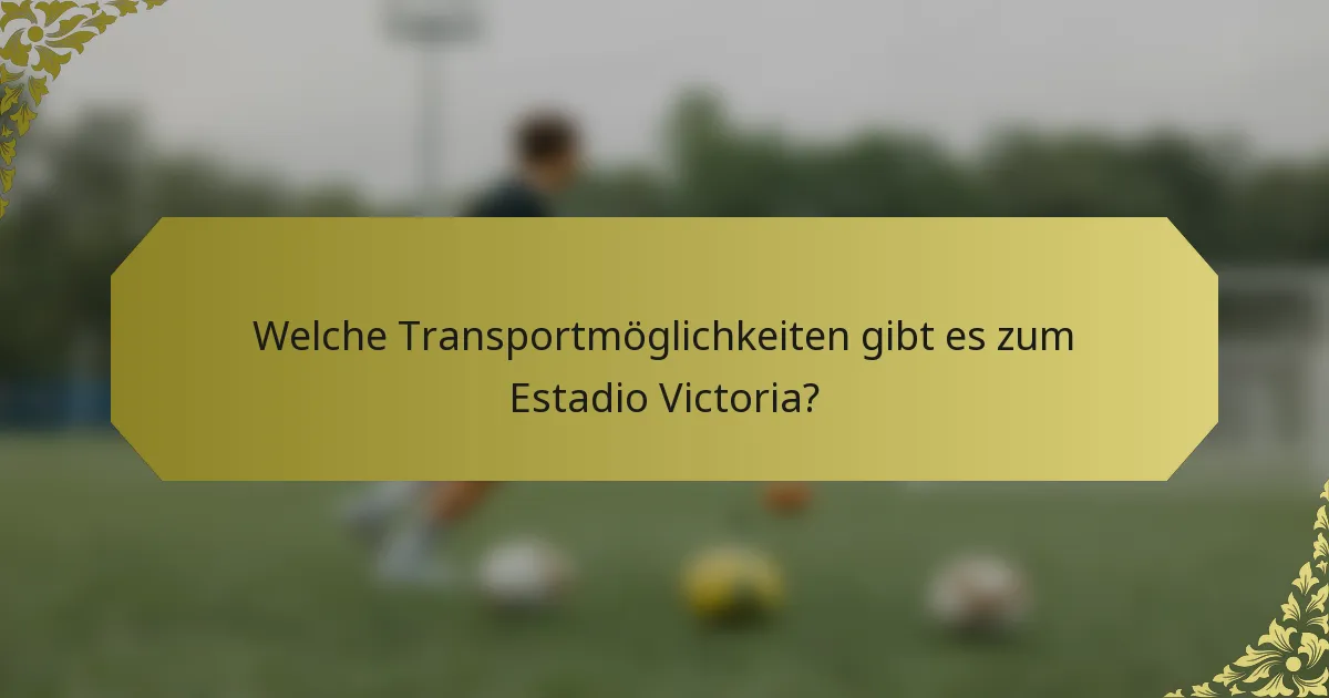 Welche Transportmöglichkeiten gibt es zum Estadio Victoria?