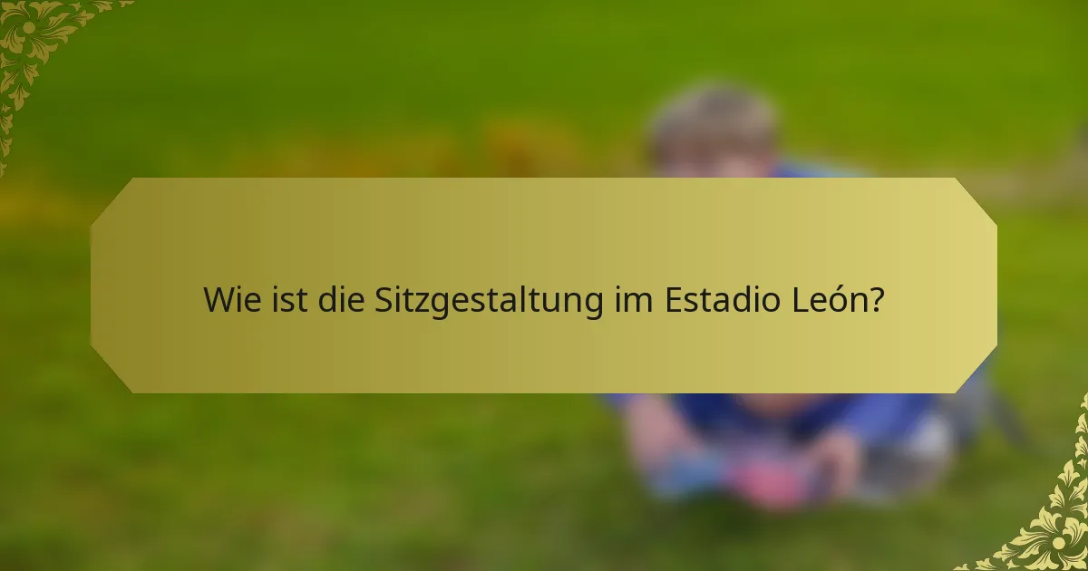 Wie ist die Sitzgestaltung im Estadio León?